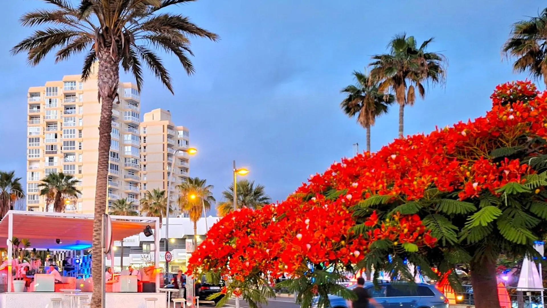 Apartmán Las Americas Ocean Panorama Arona